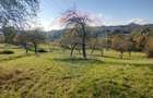 Teren zona superba Șișești - 3