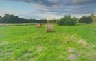 TEREN INTRAVILAN CU PUZ\ 704 MP\CARANSEBEȘ\ ZONA TEIUȘ - 4