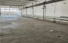 Spatiu Industrial - 3000 mp - Productie - Depozitare - Distributie - 6