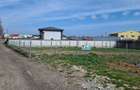 Teren de vanzare in Palazu Mare, Elvila - 973 mp - 3