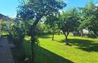 AFACERE LA CHEIE cu locuință + hale, teren 4.007 m² - 5