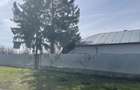 Mitreni-Valea Rosie-Acasa la Tara -4 camere-178 mp-LOT  1000 mp+Casa secundara - 43