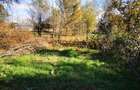 Teren Generos cu Casa in Gruiu - Snagov - 13