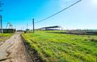 Complex imobiliar format din cladiri si constructii industriale+teren intravilan - 7