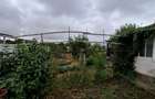 Giarmata Mare - Teren Constructii Case - 3