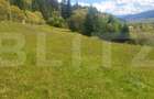 Teren intravilan, 7.362 mp, zona Vatra Dornei - 3
