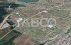 Teren intravilan un hectar de vanzare in parcul Industrial Selimbar - 2