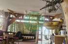 Casa verde ,de vanzare - 4