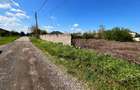Islaz - Branesti - teren 1374mp - canalizare - gaze - curent - asfalt - 1