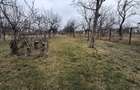 Vila P+1  Ploiesti - Paulestii Noi - 52