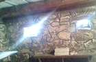 Casa de vanzare in loc. Izvoarele, com. Livezile, jud. Alba - 10