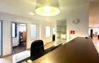 Business Hub Petre Ispirescu - 6 camere - 6
