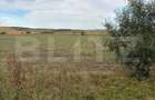 Teren intravilan, 3.600 mp, zona Cerghizel - 1