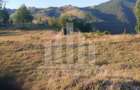 Teren intravilan | 3565 mp | Ideal constructie cabane | Garda de Sus - 3