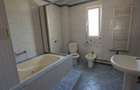 Dumbravita la intrare,  pentru locuit sau afacere - 5