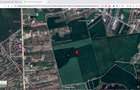 Teren intravilan 18.200 mp Saftica Balotesti - 7