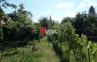 Teren intravilan | 2.810 mp|18ml|Zona Fratelia| - 14
