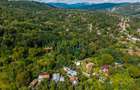 Teren 3.886 mp, Breaza - Podu Vadului, 30 m deschidere la asfalt - 10
