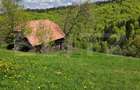 Teren intravilan 3400 mp, in Balaban - Simon, Bran - Brasov - 3