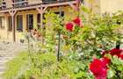 ZONA PARC - Valea Rosie (sus) casuta + vila cu teren 834mp finisate! - 3