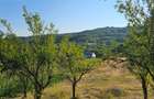 VÂNZARE MOȘIE – Sat Mitrofani, Comuna Mitrofani, jud. Vâlcea - 5