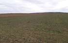 RECO Teren in Santandrei 29 100mp - 2