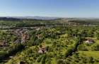 Teren intravilan 5.105 mp, Baia Sprie, la intrare pe Valea Chiuzbăii - 8