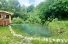 Casa de vacanta superba cu lac Rasnov-Glejerie - 12