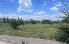 Teren de Vanzare Cornetu strada Rasaritului - 5