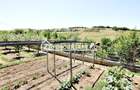 Teren intravilan 1.300 mp.zona Belvedere Targu Mures - 13
