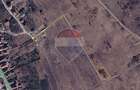 Teren intravilan de vanzare 843 mp – Chinteni - 8