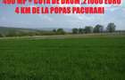 REDIU – 490 MP + COTĂ DE DRUM. DOAR 21.000 €.POSIBILITATE DE PLATĂ ÎN RATE - 2