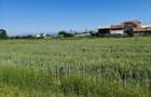 Teren 10.294 mp de vânzare Târgu Jiu | Intravilan + Extravilan | Utilități - 2