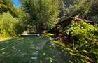 Casa Individuala P+1+M cu lac, sauna si piscina. Pretabil Azil de Batrani - 5