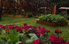 Spatiu  comercial -Parc Herastrau - 9