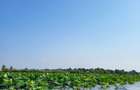 SNAGOV  În față – lacul. În spate – planurile tale. - 3