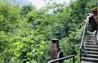 Reședință cu destinație de pensiune, 382mp utili si 1000mp teren, în Sinaia - 4