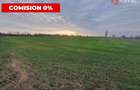 Comision 0% Teren extravilan agricol 21,32 ha sau intravilan cu PUZ aprobat - 5