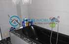 Royal Imobiliare - Inchiriere Vila zona Gheorghe Doja - 14