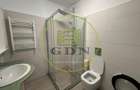 Apartament, 2 camere, 60 mp, open space, Lapus Arges , Zona Trenul Pierdut - 6
