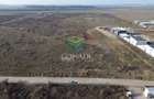 Teren de vanzare cu autorizatie pentru 2 hale - Otopeni - 10.000 mp - 1