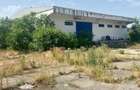 Hala industriala, 302 mp, zona Sannicolaul Mic - 1