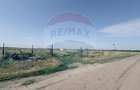 Teren agricol 16.750mp în Cârcea, imprejmuit, cultura capsuni, solarii - 1