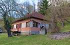 Domeniu de 7 ha in Apuseni - Criscior, Hunedoara - 3