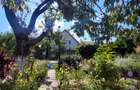 CUMPANA - CASA  P+M - BCA -TEREN 506 MP - GARAJ -113.900 EURO - 30