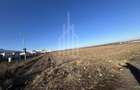 Teren Intravilan | Zona Industriala Vest | 20.663 mp - 6
