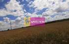 Teren 715mp în Snagov lângă Equestria - 55