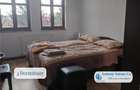 Casa de inchiriat, Cazare Muncitori, Green Oasis, Cheriu, Bihor - 4
