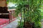 Casa din caramida de vanzare Freidorf Timisoara - 12