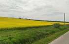 Teren agricol 64 ha, 800 m deschidere - 2